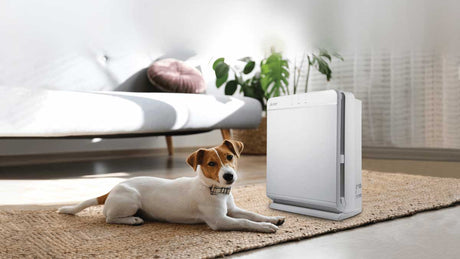 Dog lying on a rug next to a white air purifier in a room with a bed and plants.